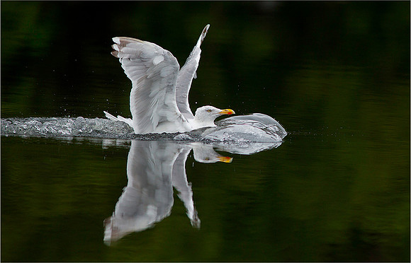 Splashdown!